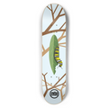Creative Caterpillar